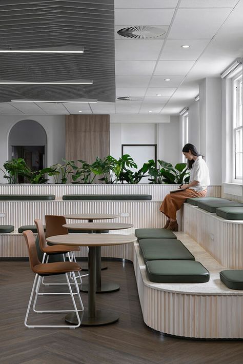 Australian Unity Fitout, Herston | Ellivo Architects - Australian Institute of Architects Office Ceiling Tiles, Scandi Office, Sitting Elegantly, Welcoming Aesthetic, Edith Cavell, Sky Deck, Acoustic Ceiling Tiles, Tiered Seating, Heritage Building