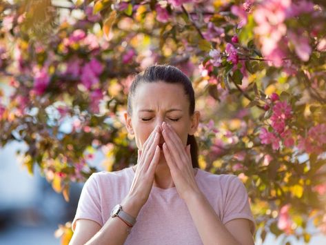 AccuWeather Spring Allergy Forecast: See Wisconsin Predictions | Patch Winter Allergies, Summer Allergies, Hay Fever Symptoms, Mold Allergy, Spring Allergies, Low Histamine Diet, Allergic Rhinitis, Itchy Throat, Allergy Asthma