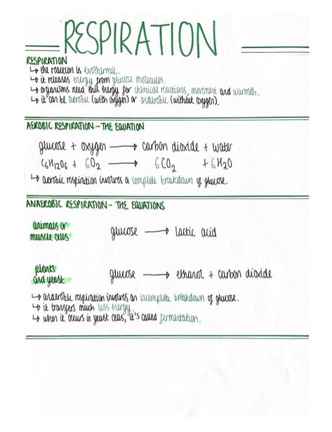 Anaerobic Respiration Notes, Gcse Biology Paper 1 Revision, Biology Revision Gcse Aqa Paper 1, Biology Paper 1 Revision, Anaerobic Respiration, Gcse Biology, Biology Revision, Organization Notes, School Biology