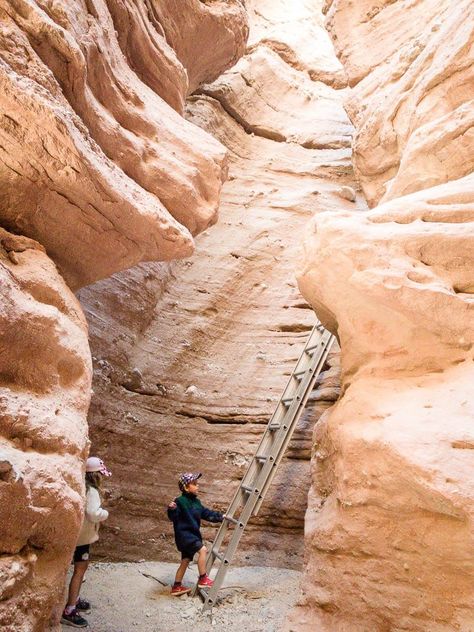 One of the best things to do around Palm Springs with kids is to get our hiking. We have 4 of the top hikes near Palm Springs to do with kids. They aren't all easy, but your kids will love each one of them! One even leaves right from the Living Desert Zoo in Palm Springs! #hikingwithkids #palmsprings #familytravel Living Desert Zoo Palm Springs, Palm Springs Hikes, Indian Canyons Palm Springs, Palm Springs With Kids, Things To Do In Palm Springs, Stagecoach 2024, Palm Springs Hiking, Carnival Radiance, Traveling Goals