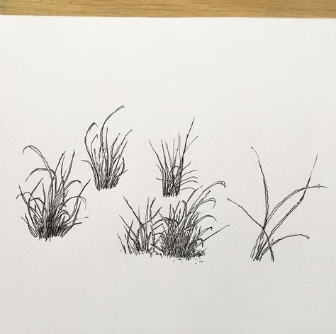 Grass Tutorial Drawing, Grass Tattoo Design, Grass Tattoo, Grass Drawing, Plant Sketches, Grass Painting, Whimsical Art Paintings, Perspective Drawing Lessons, Nature Art Drawings