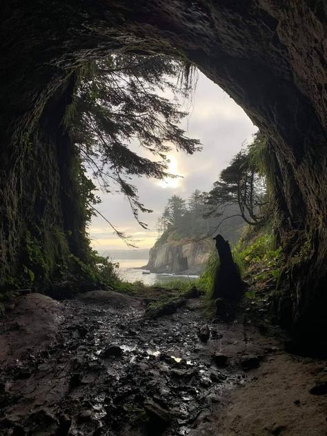 Cave Aesthetic Forest, Mountain Cave Aesthetic, Forest Cave, Cave Aesthetic, Beach Cave, Pirate Bar, Bear Cave, Dragon Cave, Ghost Train