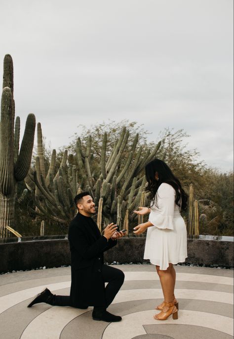 Arizona Proposal, Proposal Places, Desert Proposal, Desert Botanical Garden, How To Walk, Love And Peace, Engagement Ideas, Desert Wedding, Arizona Wedding