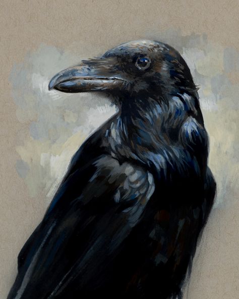 Carrion Crow, Crow Painting, Witches Familiar, A Crow, Raven Art, Crows Ravens, Traditional Artwork, Australian Birds, Learn Art