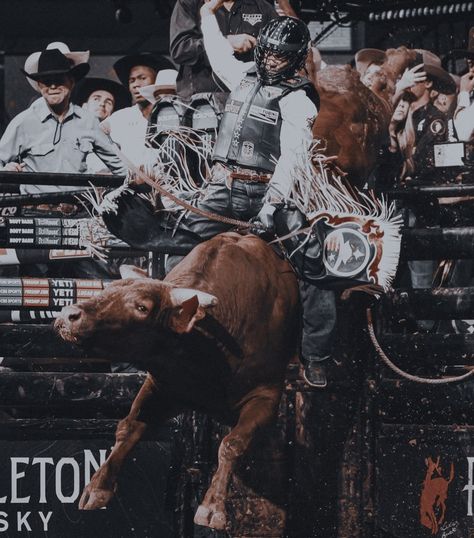 Bull Riding Pictures, Female Bull Riders, Pbr Aesthetic, Jb Mauney Bull Riding, Bullrider Aesthetic, Rodeo Life Aesthetic, Bull Rider Aesthetic, Bull Riding Aesthetic, Rodeo Painting