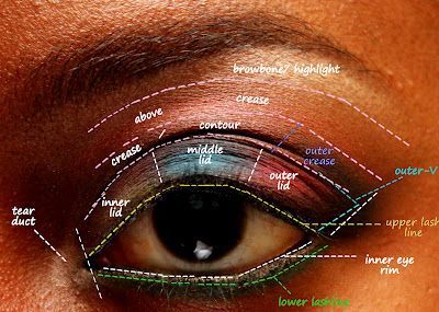 Beauty xtra!: Eye map Inner Corner Eyeshadow, Corner Eyeshadow, Makeup Map, Eye Map, Eyeshadow For Blue Eyes, Applying Eye Makeup, Bluish Green, Highlighter Makeup, Day In The Life