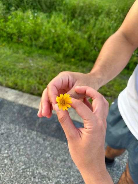 One of my favorite things about you is that you always pick flowers for me Hand Picked Flowers From Boyfriend, Wild Flowers From Boyfriend, Hand Picked Flowers Boyfriend, Getting Flowers From Him Aesthetic, Guy Picking Flowers, Guy Holding Flowers Aesthetic, Flower Picking Date, Guy Giving Girl Flowers, Flowers With Note