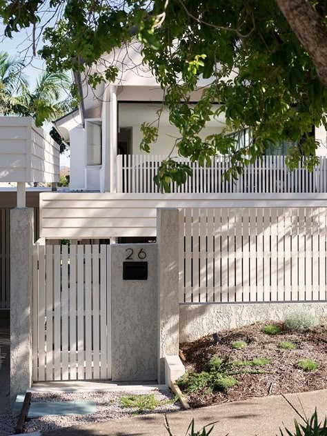 A bold Brisbane home serving up clever design | Habitus Living Queenslander Front Fences, Beach House Facades Australia, Low Set Queenslander House, Brisbane Architecture Residential, Brisbane Architecture, Gallery Shelves, Elevated House, Working Wall, Stucco Walls