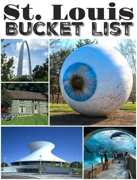 st louis bucket list #MyBucketListIdeas Free Activities For Kids, Into The West, Midwest Travel, All I Ever Wanted, Summer Road Trip, On The Road Again, St Louis Missouri, Free Activities, St Louis Mo