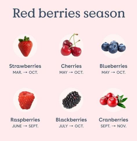 Berry Healthy Way to Live Raspberry Benefits, Vegetables List, Fruits And Vegetables List, Types Of Berries, Forever Products, Health Is Wealth, Fruit Benefits, Eat Veggies, Healthy Food Facts