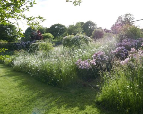 Acres Wild Garden Design, Field Garden Ideas, Meadow Garden Design, Wild Meadow Garden, Meadow Garden Landscaping, Landscaping With Wildflowers, Wild Garden Landscaping, Wild Cottage Garden, Wildflower Meadow Garden