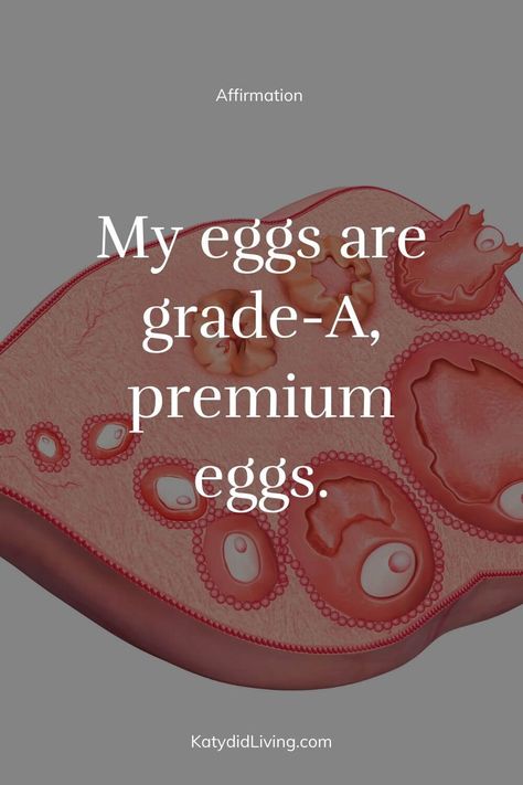 Egg Quality Affirmations | Fertility Affirmations - Katydid Living Fertility Affirmations Pregnancy, Ivf Affirmations, Prayer To Get Pregnant, Manifesting Baby, Improve Egg Quality, Fertility Affirmations, Fertility Prayer, Woman Energy, Fertility Quotes