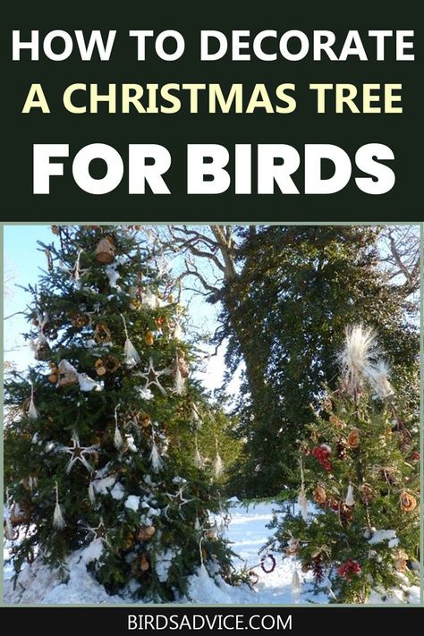 Outdoor Bird Christmas Tree, Christmas Tree For The Birds, Ornaments For Outside Trees, Bird Feeder Christmas Tree, Christmas Tree For Birds Outdoor, Bird Themed Christmas Tree, Christmas Tree For Birds, Wildlife Christmas Tree, Outdoor Xmas Tree