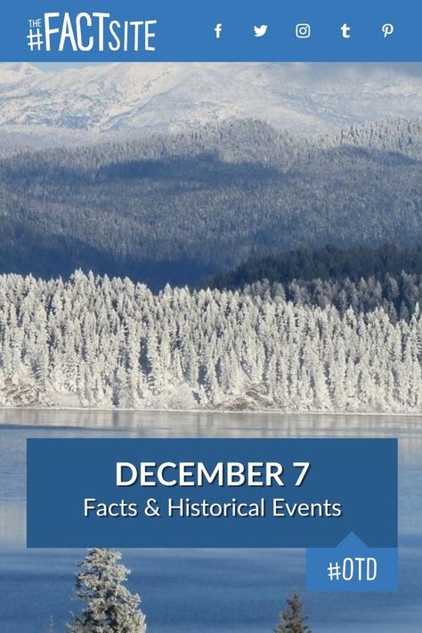 Did you know that on this day, December 7, 1941, Pearl Harbor was attacked? Today is known as International Civil Aviation Day, and was the day Nicholas Hoult was born. Let's take a closer look at what makes December 7th such a special day in history with these interesting facts and events that all happened on this day. #TheFactSite #OnThisDay #December7 #TodayInHistory #TodayFacts #OTD #CottonCandyDay International Civil Aviation Day, December 7 1941, Imperial Japanese Navy, Nicholas Hoult, Fact Of The Day, Today In History, Civil Aviation, Pearl Harbor, December 7