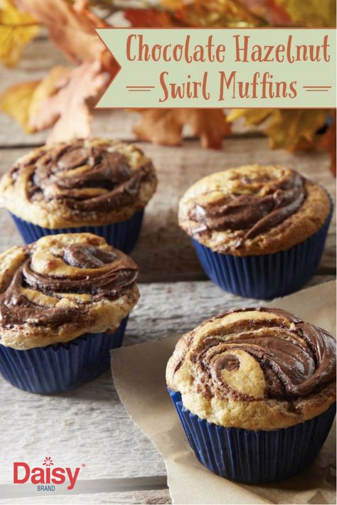 These easy Chocolate Hazelnut Swirl Muffins are the ultimate back to school treat. Hazelnut Muffins, Cottage Cheese Muffins, Swirl Muffins, Hazelnut Recipes, Daisy Brand, Brunch Desserts, Mint Brownies, Cream Cheese Muffins, Sweet Muffin