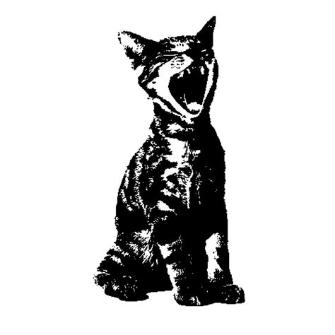 Cat Stencil Tattoo, Deftones Stencil, Graphic Poster Black And White, Deftones Icons, Cat Drawing Black And White, Camera Graphic Design, Widget Black And White, Deftones Cat, Deftones Tattoo