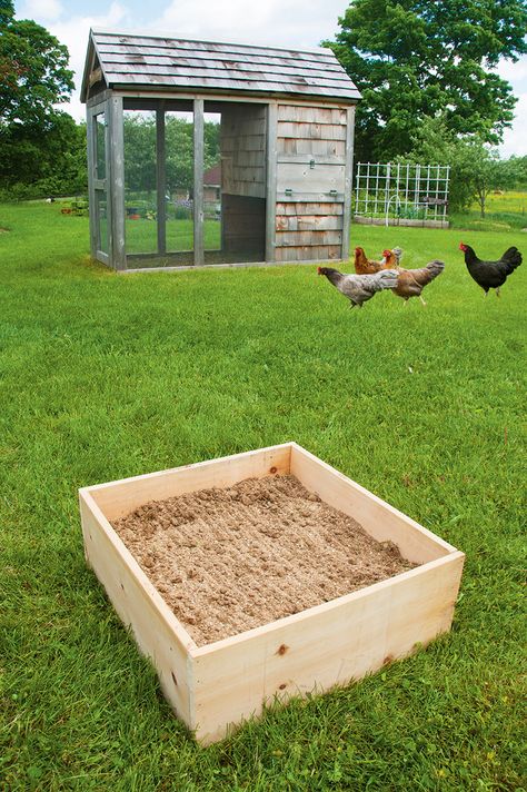 DIY Dust Bath For Your Chickens - Hobby Farms Dust Bath Box For Chickens, Chicken Dirt Bath, Diy Dust Bath, Chicken Dust Bath Ideas, Dust Bath For Chickens, Jack Chicken, Urban Chicken, Urban Chicken Farming, Easy Chicken Coop