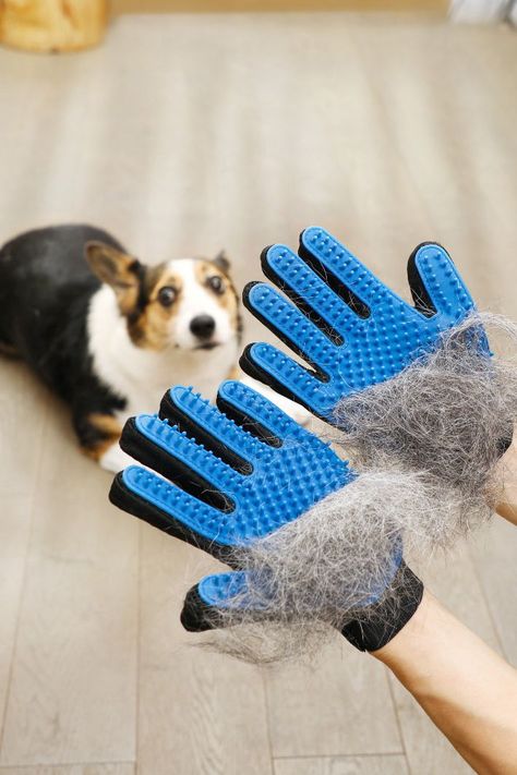 Hair Remover Tool, Dog Hair Removal, Dog Grooming Tools, Hair Of The Dog, Cat Grooming Tools, Dog Washing Station, Fur Gloves, Cat Small, Dog Cleaning