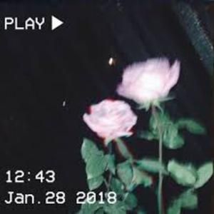 Playlist Covers For Hype Music, Album Cover For Spotify Playlist, Spotify Playlist Covers Flowers, Spotify Playlist Covers Nostalgic, Aesthetic Spotify Playlist Covers Grunge, Aesthetic Album Covers Spotify, Hype Aesthetic Playlist Covers, Spotify Playlist Covers Night, Play List Covers Aesthetic