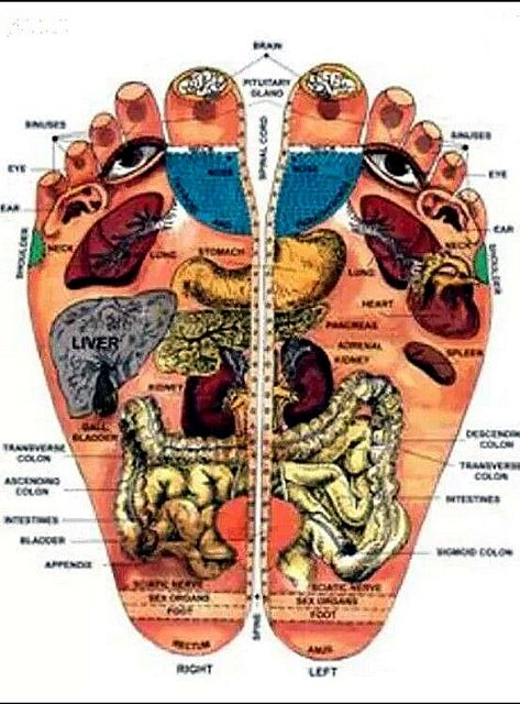 Foot Reflexology Massage, Acupressure Therapy, Lymph Massage, Reflexology Chart, How To Calm Nerves, Reflexology Massage, Aromatherapy Massage, Foot Reflexology, Massage Benefits