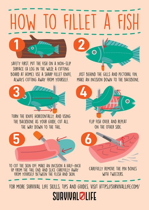 Seafood Cuisine, Survival Skills Emergency Preparedness, 1000 Lifehacks, Emergency Prepardness, Emergency Survival Kit, Curated Content, Survival Skills Life Hacks, Emergency Preparedness Kit, Survival Life Hacks