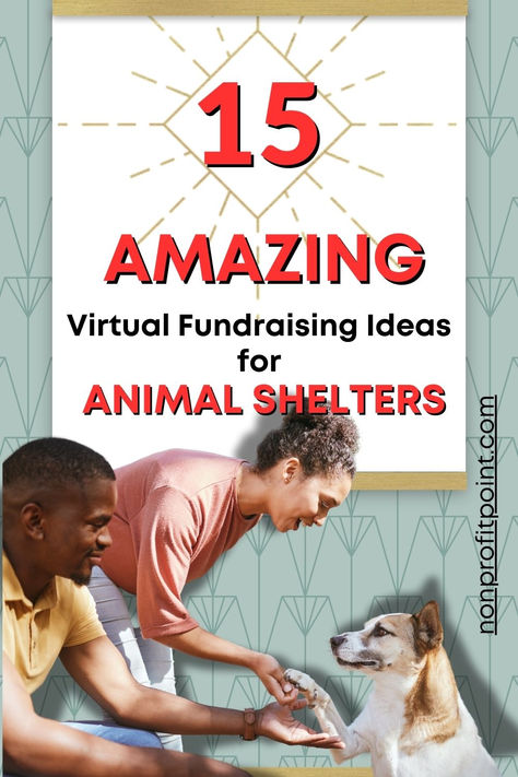 15 Amazing Virtual Fundraising Ideas for Animal Shelters l Fundraising ideas for Animal Nonprofits Dog Shelter Fundraising Ideas, Dog Rescue Fundraising Ideas, Dog Fundraising Ideas, Animal Shelter Fundraiser Ideas, Animal Fundraiser, Ideas For Fundraising, Creative Fundraising Ideas, Animal Shelter Donations, Animal Shelter Fundraiser