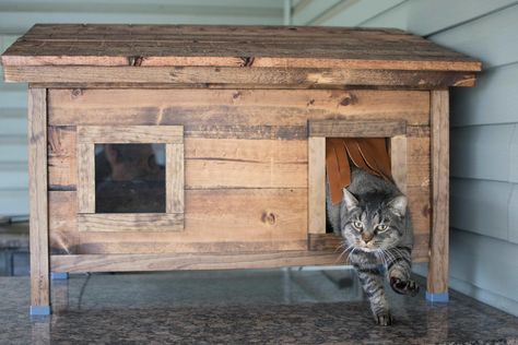 I built a house for our outdoor cat - Album on Imgur Outside Cat House, Cat House Plans, Outdoor Cat Shelter, Feral Cat Shelter, Feral Cat House, Cardboard Cat House, Wooden Cat House, Cat Houses Indoor, Cat Patio