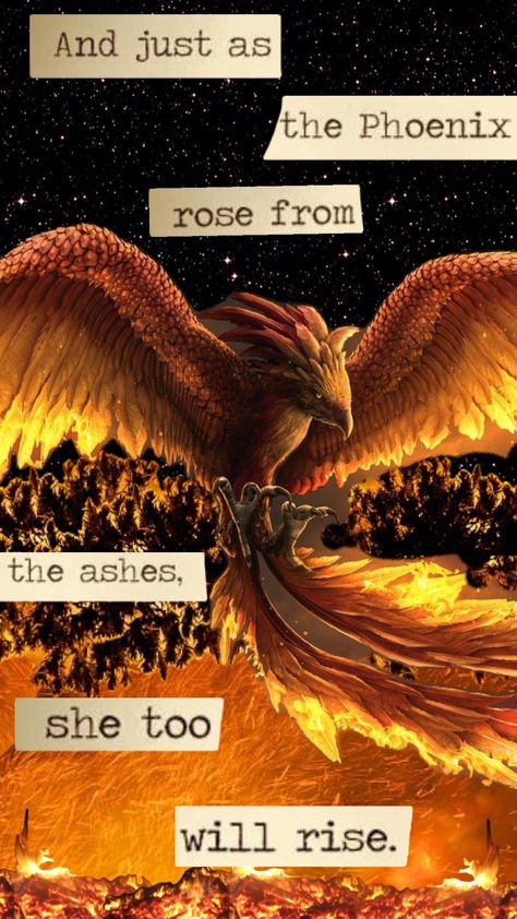 Learning the animator thing and I am NOT very good at it lol #phoenix #rise #wallpaper #quotes #vibes #nature #fire #art #random #pretty #inspo #click Fire Phoenix Wallpaper, Pheonix Aestethic Wallpaper, Phoenix Aesthetic Bird, Phoenix Wallpaper Iphone, Phoenix Core, Rise Wallpaper, Phoenix Princess, Phoenix Aesthetic, Phoenix Fire Bird