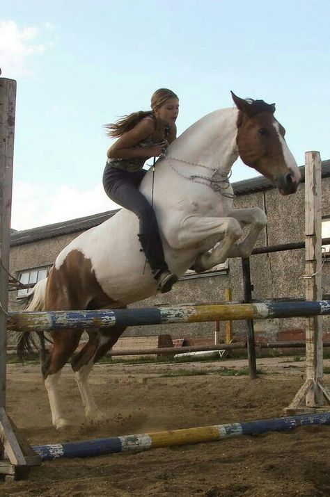 Bareback Riding, Horse Riding Aesthetic, Trick Riding, Riding A Horse, Teacher's Pet, Paint Horse, Cowgirl And Horse, Horseback Rider, Horse Aesthetic