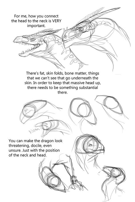 Dragons Tumblr, Dragon Anatomy, Dragon Sketch, Creature Drawings, Dragon Artwork, Dragon Drawing, Creature Concept Art, Animal Sketches, Dragon Design