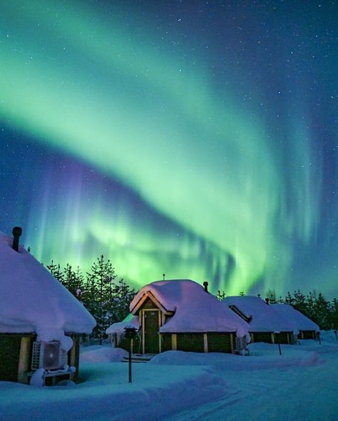 Lorenzo Mirandola ■ Lapland on Instagram: “In which one would you sleep?😍 1 Northern lights village Levi 2 Aurora Estate 3 Arctic fox igloos #finlandia #lapponia #auroraboreale…” Lapland Finland, Arctic Fox, Light Show, Aurora Borealis, Beautiful Places To Travel, Scandinavia, Finland, Aurora, Mother Nature