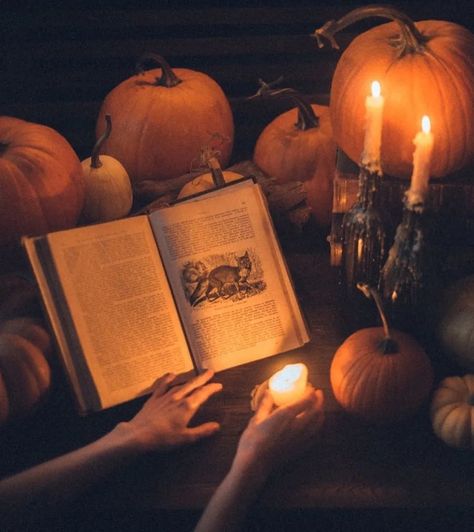 Autumn Witch, Fall Mood Board, Autumn Magic, Dark Autumn, Pumpkin Spice Season, Book Aesthetics, Witch House, Season Of The Witch, Pumpkin Witch