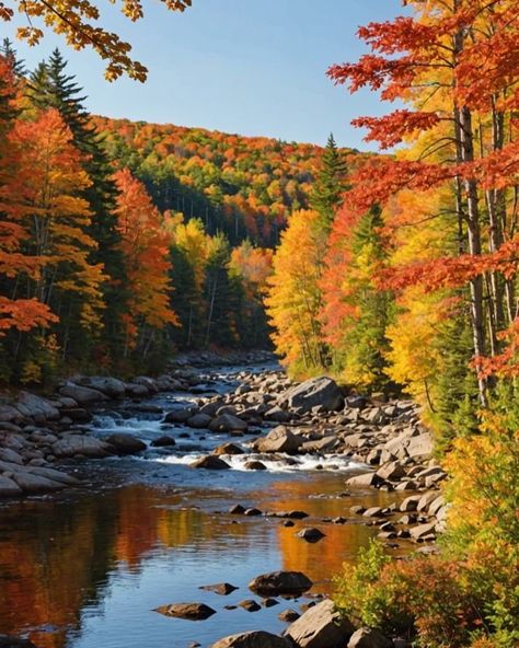 Ally | Cozy & Slow Living + Cottage/Farmhouse Style | 🍁🧡🍂❤️ Fall foliage 😍 👉Follow @katandblossom . . . . . #crunchyleaves #crunchyleavessweater #sweaterweather #fallvibes #fallfoliage… | Instagram Fall Scenic Pictures, Maine During Fall, East Coast In The Fall, Maine Autumn Aesthetic, Autumn In Maine, Maine Fall Aesthetic, Maine Fall Vacation, Maine In October, Fall East Coast