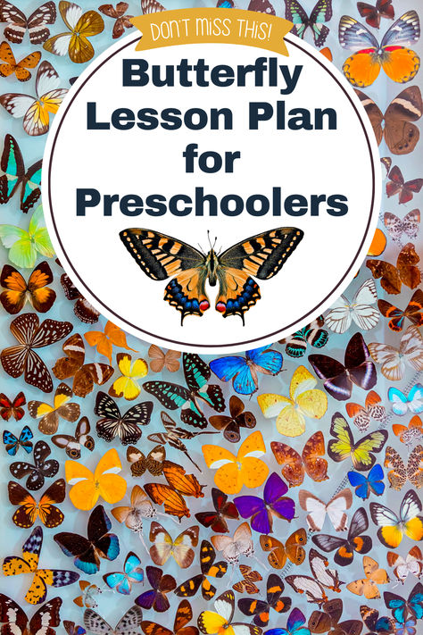 Explore our preschool butterfly lesson plan! It's filled with engaging activities that introduce children to the wonders of butterflies, their lifecycle, and their role in the ecosystem. From butterfly artwork to lifecycle role plays, our lesson plan fosters curiosity and understanding. Extend the learning with activities like Butterfly Hunt and more. Perfect for parents and educators looking to instill a love for nature in young minds. Experience the joy of learning about butterflies! Butterfly For Preschoolers, Butterflies Crafts Preschool, Butterfly Preschool Activities, Butterfly Activities For Preschool, Preschool Butterfly Activities, Nature Activities Preschool, Preschool Butterfly, Butterfly Activities, Insect Study