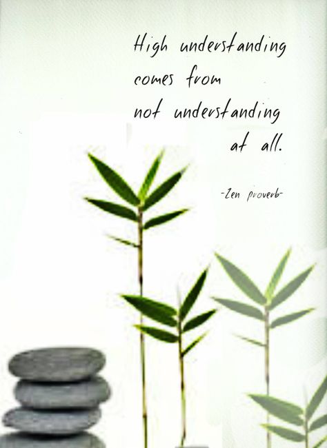 High understanding comes from not understanding at all. (Zen proverb) Zen Proverbs, Draw Wings, Lao Tzu Quotes, Not Understanding, Zen Philosophy, Buddhist Wisdom, Zen Quotes, Buddha Zen, Inner Peace Quotes