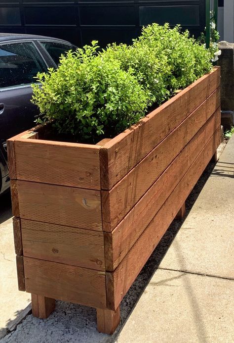 I delivered a 96 inch long by 20 inch deep by 36 inch tall planter box yesterday. It was heavy. Actually I assembled it on site so it wasn't that heavy. But it's still heavy. I'm going to stop now. Enjoy! Long Planter Boxes, Tall Planter Boxes, Long Planter, Wooden Planter, Pebble Mosaic, Wood Planters, Garden Boxes, Diy Planters, Outdoor Planters