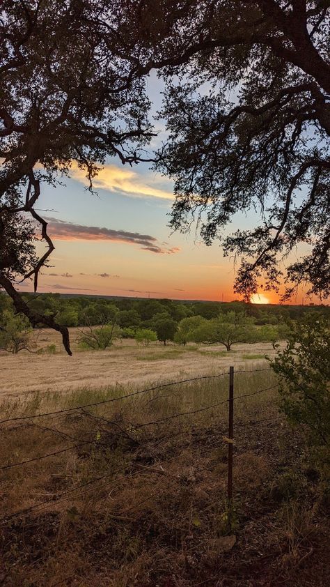 Stay on a Ranch Outside Austin Texas! — Ginger Finding Roots Austin Texas Nature, Vintage Texas Aesthetic, Texas Country Aesthetic, Texas Ranch Aesthetic, Cowgirl Perfume, West Texas Aesthetic, Texas Aesthetic Vintage, Tennessee Ranch, Austin Texas Aesthetic