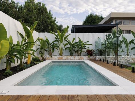 Swimming Pool Small Garden, Pool Along Fence Line, Swimming Pool With Fence, Pool Against Fence, Acrylic Pool Fence, Garden By Fence, Garden Around Pool, Backyard Pool Small, Pool Garden Ideas