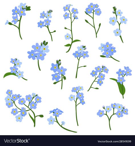 Blue Star Flower Drawing, Scorpion Grasses Tattoo, Pottery Painting Forget Me Not, Forget Me Not Botanical Illustration, Forget Me Not Doodle, Forget Me Not Flowers Drawing Simple, Forget Me Not Nails, Forget Me Not Illustration, Forget Me Not Flowers Drawing