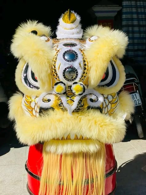 Lion Dance Head, Lion Dance Costume, Chinese Lion Dance, Chinese Lion, Collage Elements, Dragon Dance, Lion Dance, Senior Project, Art Help