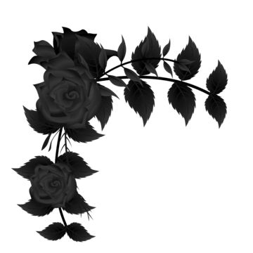 Black Flower Sticker, Black Frame Png, Vector Rose, Rose Vector, Cartoon Rose, Roses Luxury, Roses Graphic, Roses Png, Rose Border