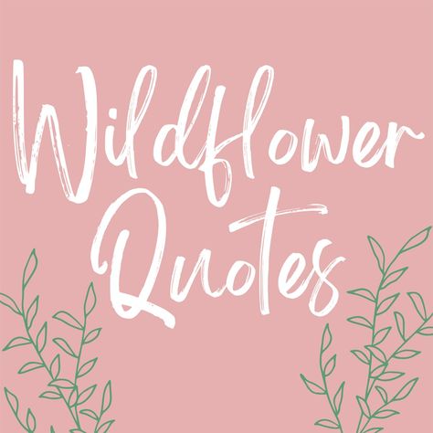 These wildflower quotes are pack full of beauty, inspiration, and captivating ideas of what it means to live like a wildflower and be free. Wild Flowers Meaning, How To Be A Wildflower, Wild Flowers Quotes Inspirational, Be Like A Flower Quote, Wild Flower Poem, Inspiring Flower Quotes, Nature Inspired Quotes, Wildflower Saying Tattoo, Wildflower Sayings Words