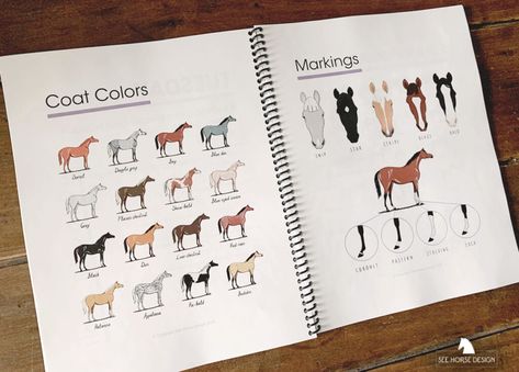 Horse Camp Parts Of A Horse, See Horse, Horseback Riding Tips, Camping Books, Museum Education, Horse Camp, Horse Therapy, Curriculum Design, Riding Lessons