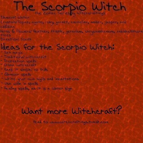 Scorpio witch Scorpio Witch, Irish Gods, Glamour Spell, Magickal Correspondences, The Scorpio, Which Witch, Traditional Witchcraft, Magic System, Birthday Book