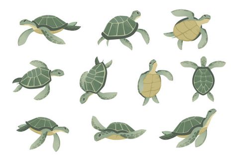 3,000+ Sea Turtle Illustrations, Royalty-Free Vector Graphics & Clip Art - iStock | Baby sea turtle, Sea turtle swimming, Sea turtle isolated Sea Turtle Cartoon, Plastic Campaign, Cute Turtle Drawings, Sea Turtle Drawing, Turtle Cartoon, Sea Turtle Pictures, Kids Book Illustration, Cartoon Turtle, Inktober 2023