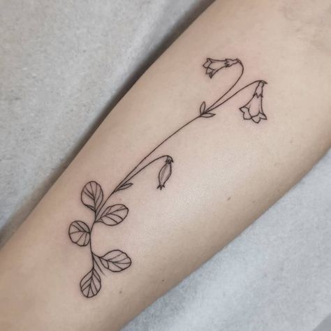 Linnea Flower Drawing, Linnaea Borealis Tattoo, Linnea Borealis Tattoo, Twin Flower Tattoo, Twinflower Tattoo, Swedish Flower Tattoo, Linnea Flower Tattoo, Mamma Tattoo, Linnea Borealis