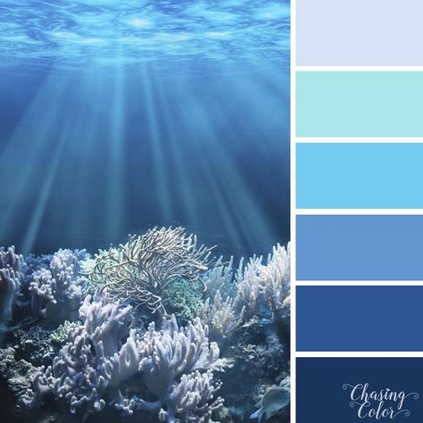 The sun rays Underwater Color Palette, Axolotl Bedroom, Coral Underwater, Sea Map, Create Color Palette, Paint Color Schemes, Palette Art, Sea Colour, House Color Schemes