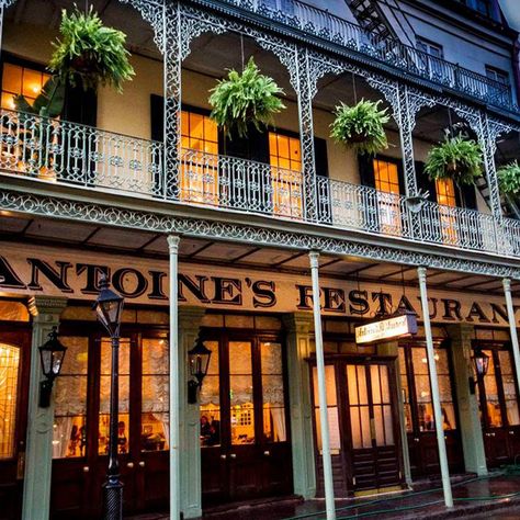 35 Iconic French Quarter Dining Experiences French Quarter Restaurants, New Orleans Bars, Architecture Restaurant, New Orleans Vacation, Classic Restaurant, New Orleans French Quarter, Old Bar, New Orleans Mardi Gras, New Orleans Travel