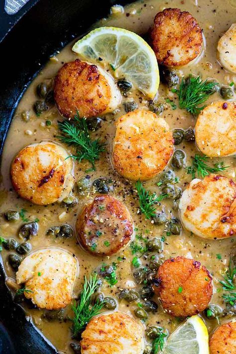 Pan Seared Scallops with Lemon Caper Sauce | The Recipe Critic Lemon Caper Sauce, Caper Sauce, Pan Seared Scallops, Seafood Entrees, Seared Scallops, Scallop Recipes, Fish Dinner, Scallops Seared, Seafood Dinner