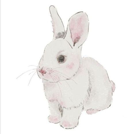 Cozy Nature, Rabbit Png, Easter Happy, Soft Pink Theme, Easter Wallpaper, Bunny Drawing, Bunny Art, Big Art, Bunny Easter